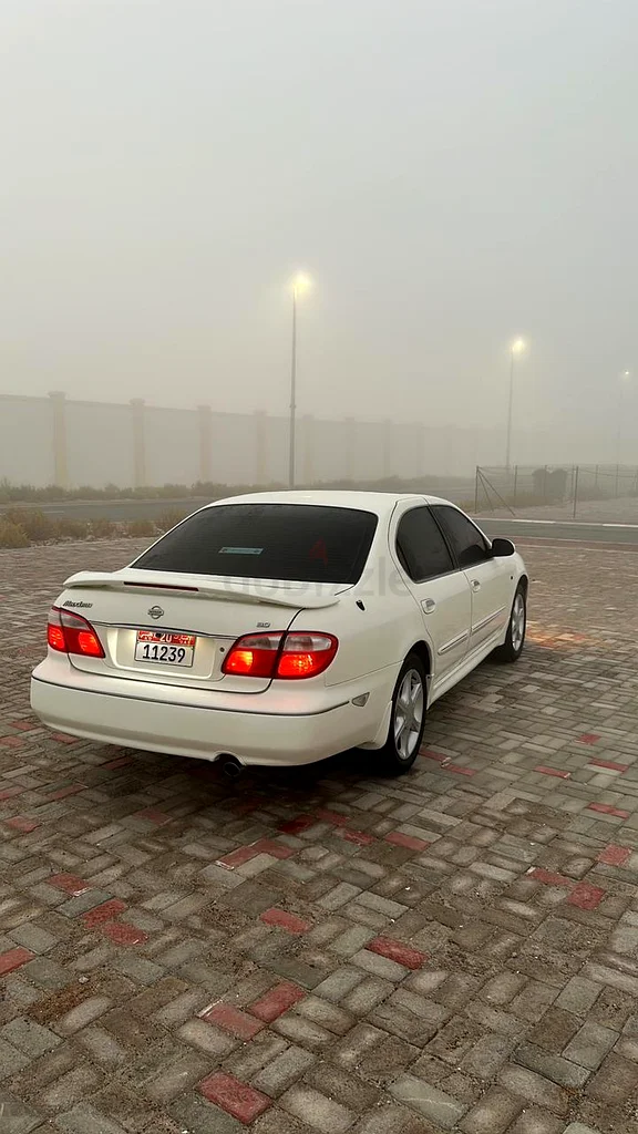 أبوظبي مدينة الشامخة شرق63148165194883113