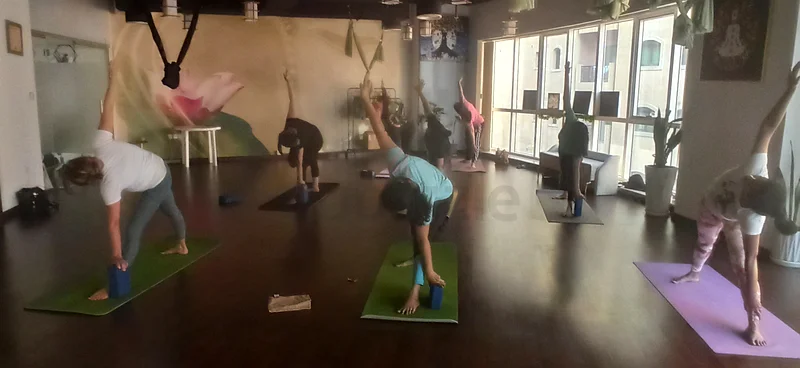 Yoga classes group and private session63219832127747114