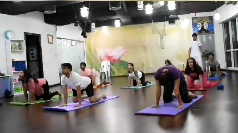 Yoga classes group and private session63219832127747113