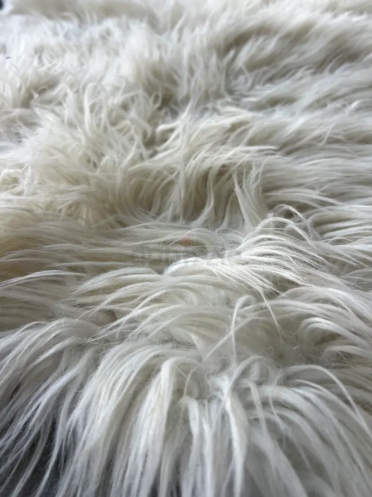 White Small Rug63210883234435113