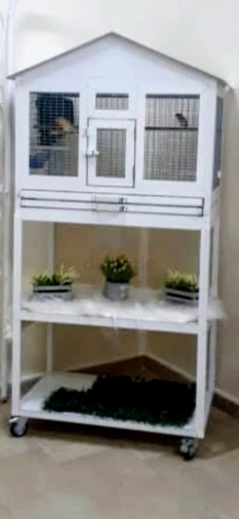 عجمان النعيمية 3632321619333141120
