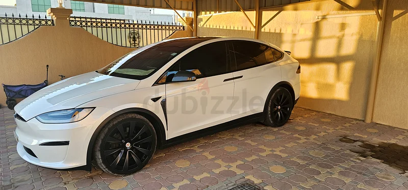 Tesla Model X   202363134989239042114