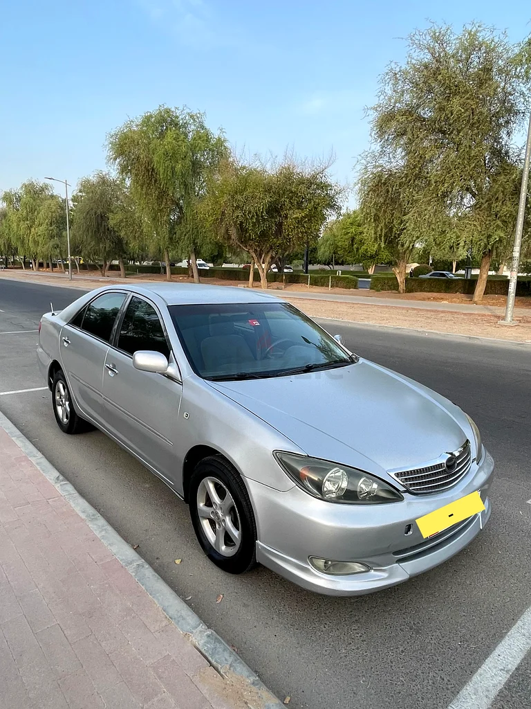 العين القطاره63146743264258113