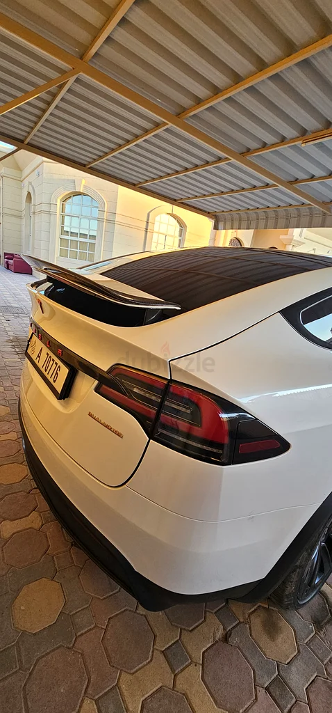 Tesla Model X   202363134989239042111