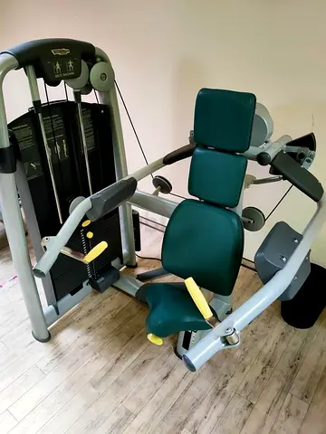 Fitness  Technogym Delts Machine