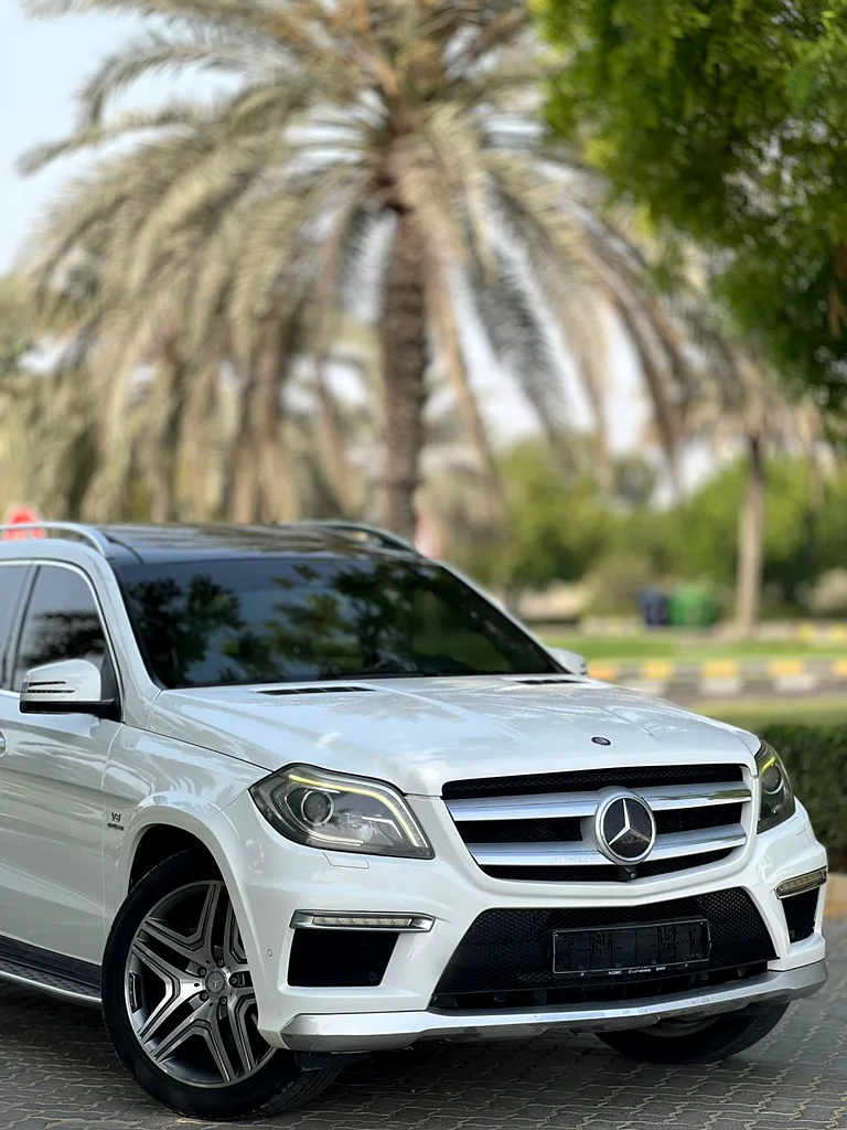 Mercedes GL50062930624692610113