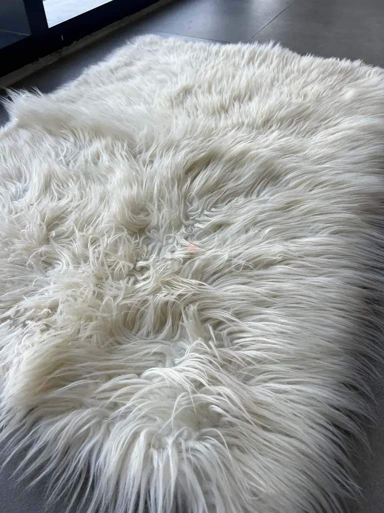 White Small Rug63210883234435112