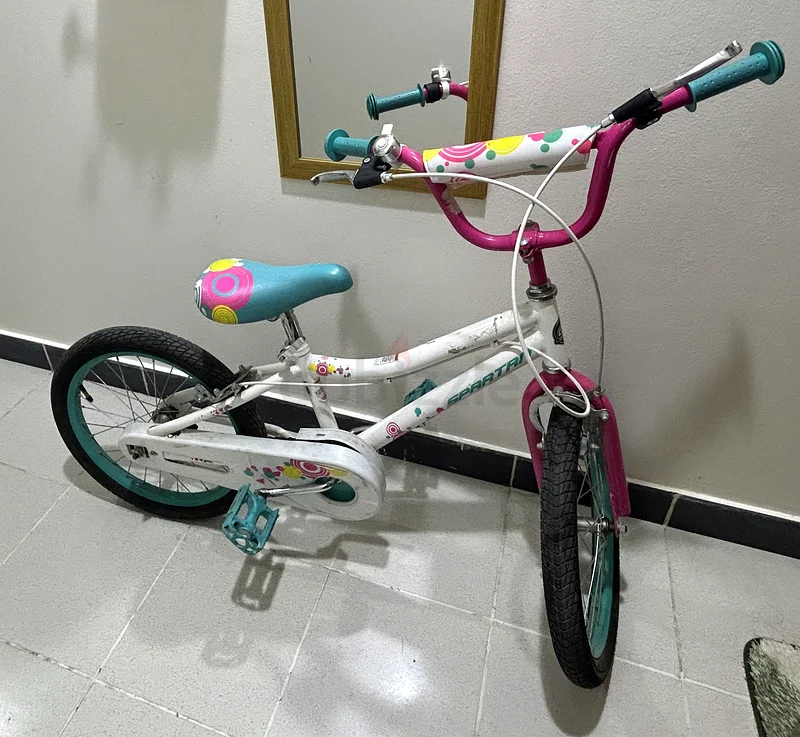 Bicycle63244200602882110