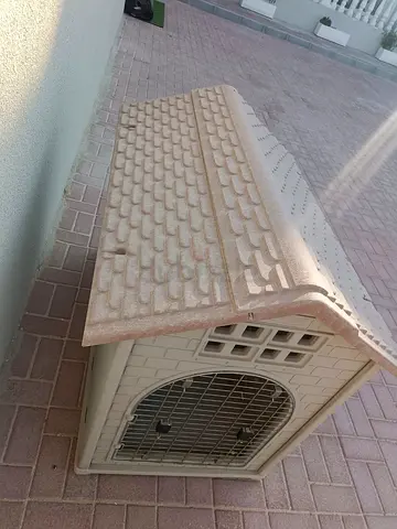 Dog House