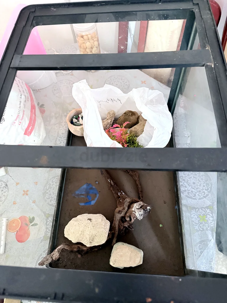 Aquarium63233645151745111
