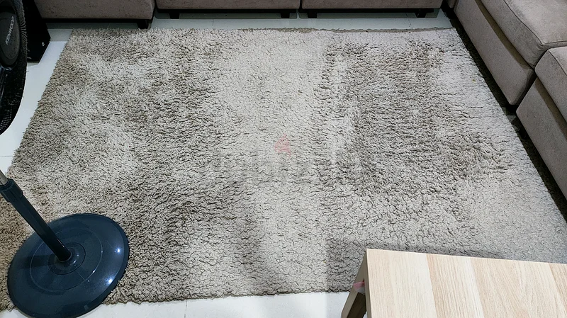 Shagg Rug63210883258498112