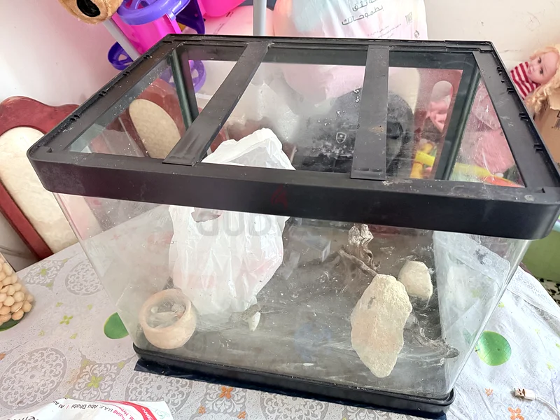 Aquarium63233645151745110
