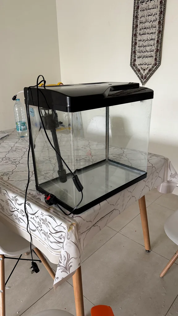 Fish aquarium63233645126274111