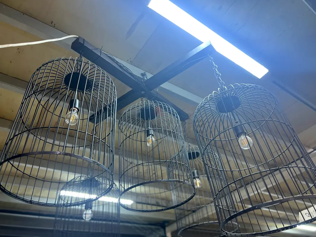 Stylish Vintage Hanging Cage Light Fixtures