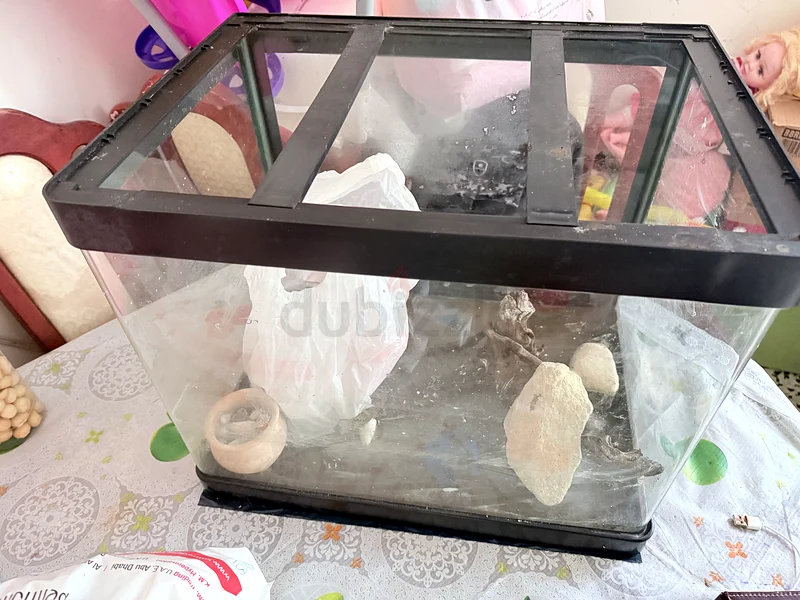 Aquarium63233645151745113