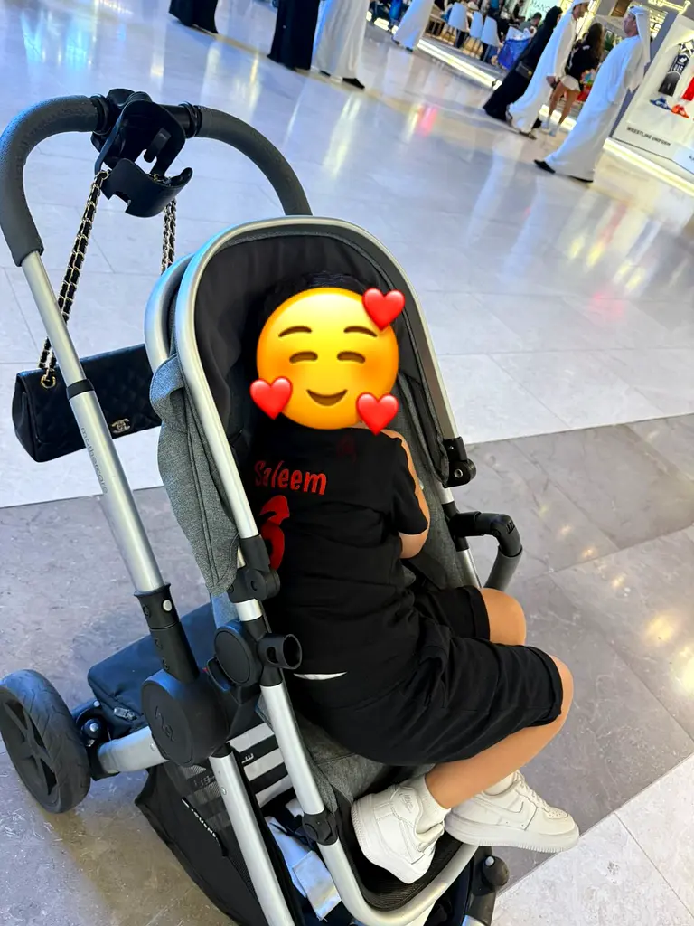 Stroller - Travel System63205358729730110