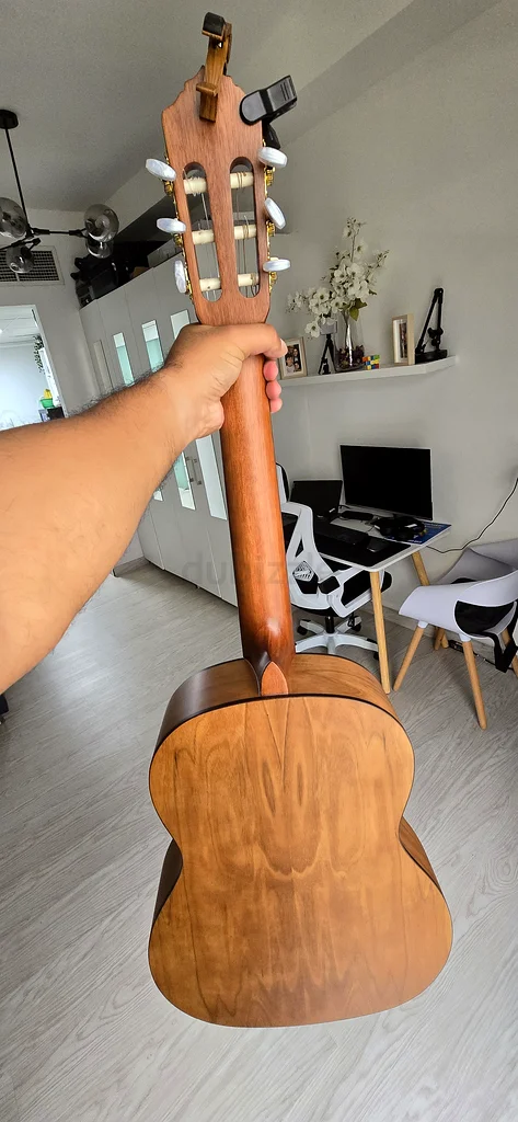 Nylon Guitar (Ortega)63201681449475111