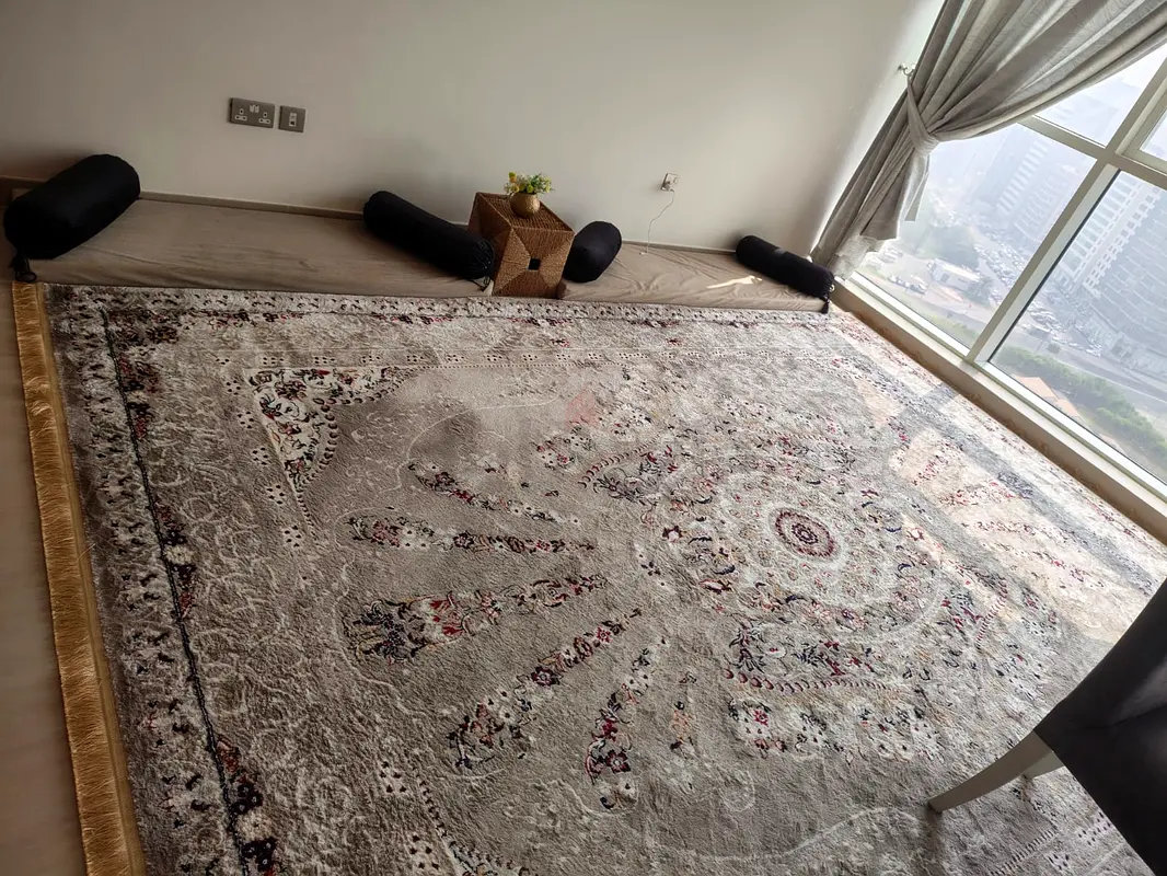 Elegant Handmade Persian Area Rug for a Luxurious Touch (3x4 metre)