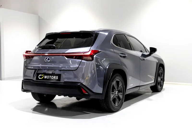 LEXUS UX 250h / CLEAN TITLE63150479982081111