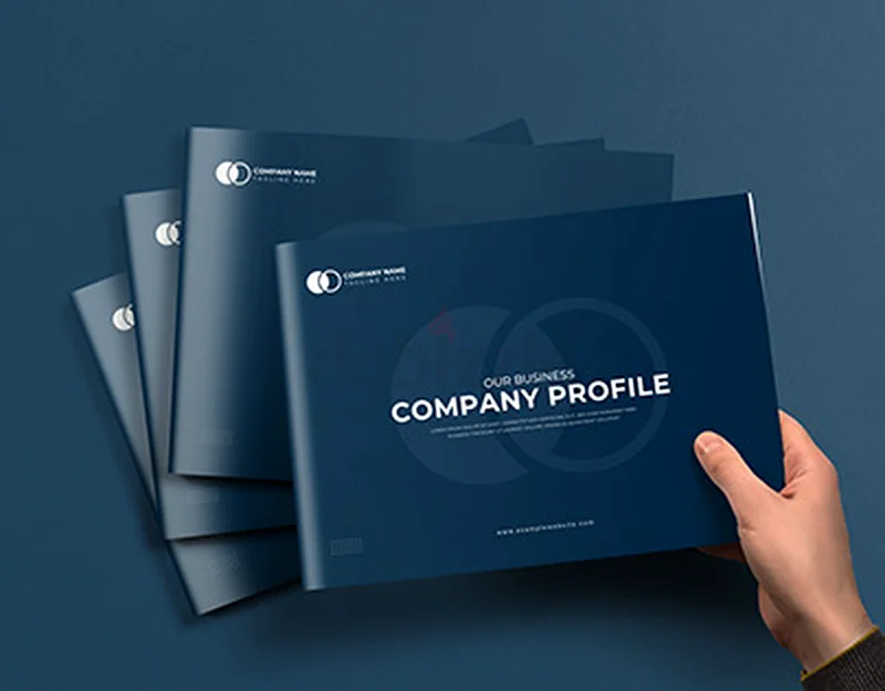Professional Company Profiles - Professional Business or Company Profile63218815827969111