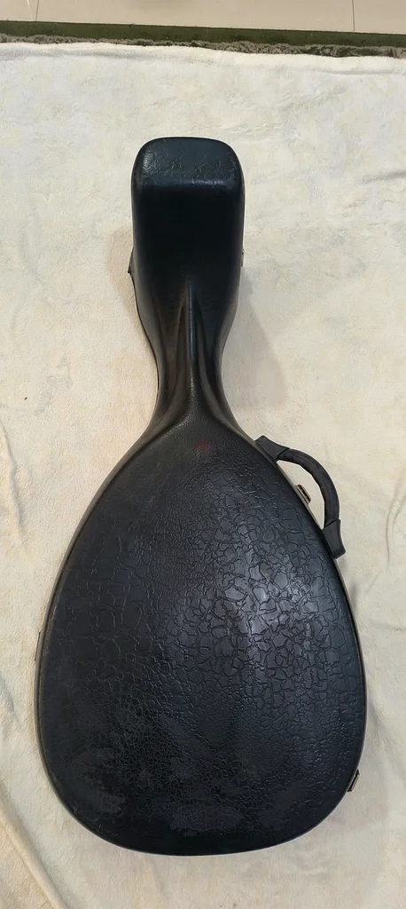 Hard case oud bag made of63198619505793114