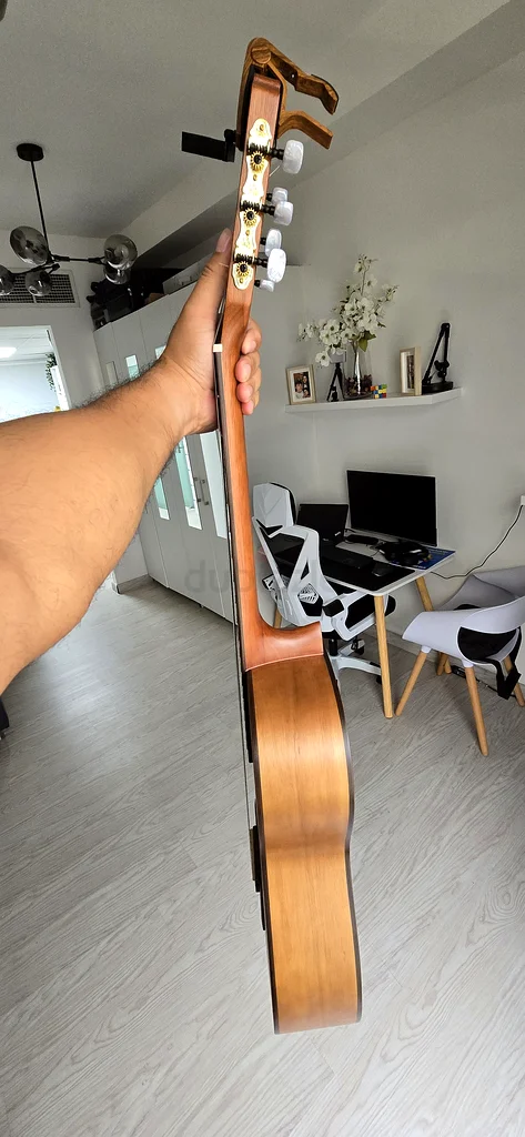 Nylon Guitar (Ortega)63201681449475113