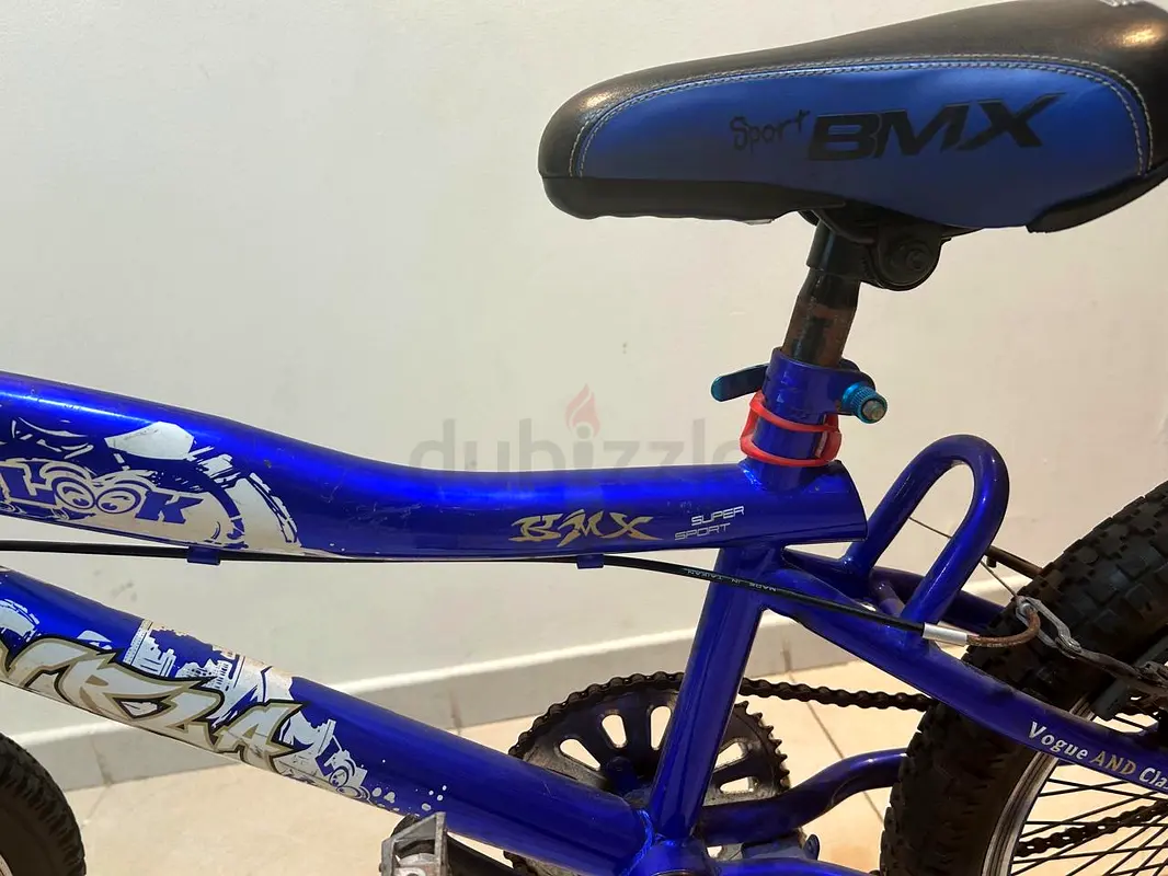 bicycle63243671716739111
