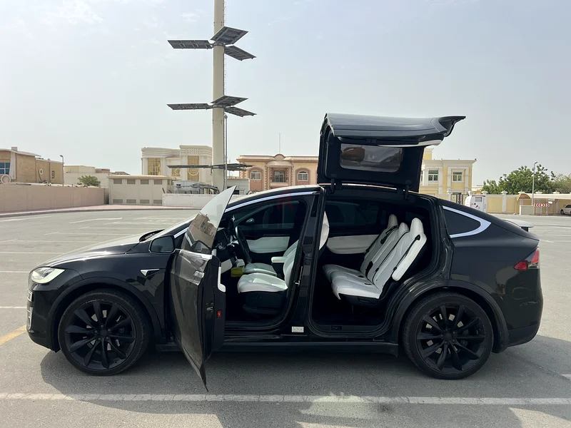 تيسلا موديل X طويل المدى. المالك الأول63221825127041113