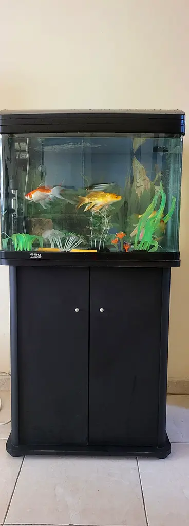 Aquarium with all accessories