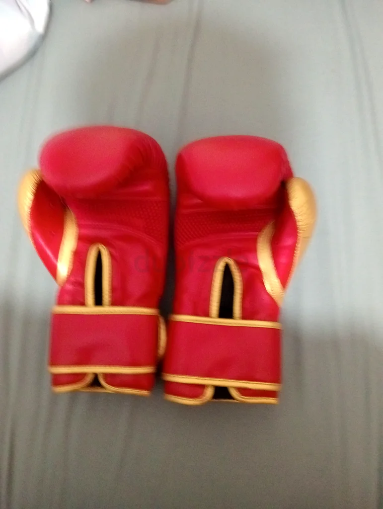 Boxing gloves63242169917313111