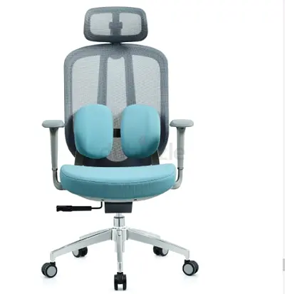 Executive highback ergonomic padded chair