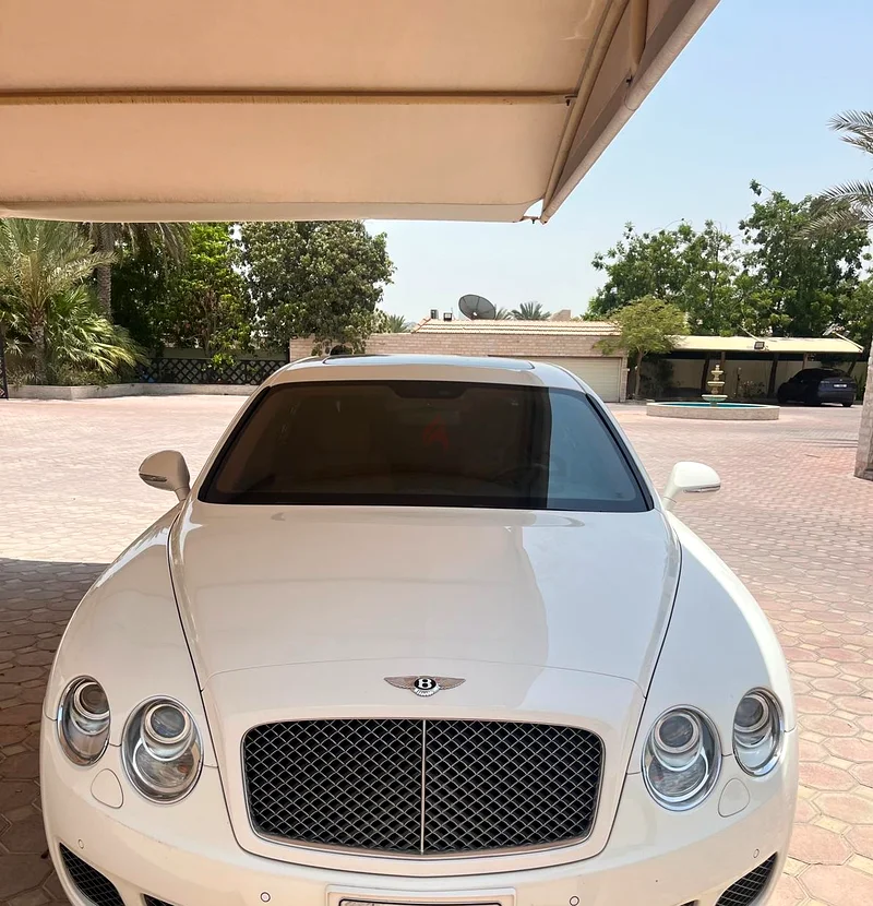Mr. Mamdouh63139217289986111