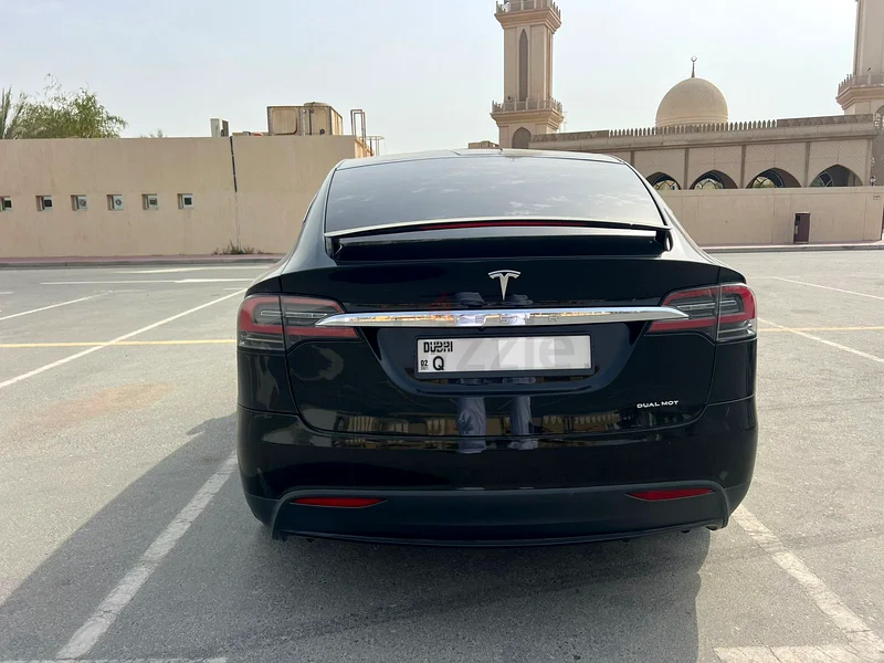تيسلا موديل X طويل المدى. المالك الأول63221825127041114