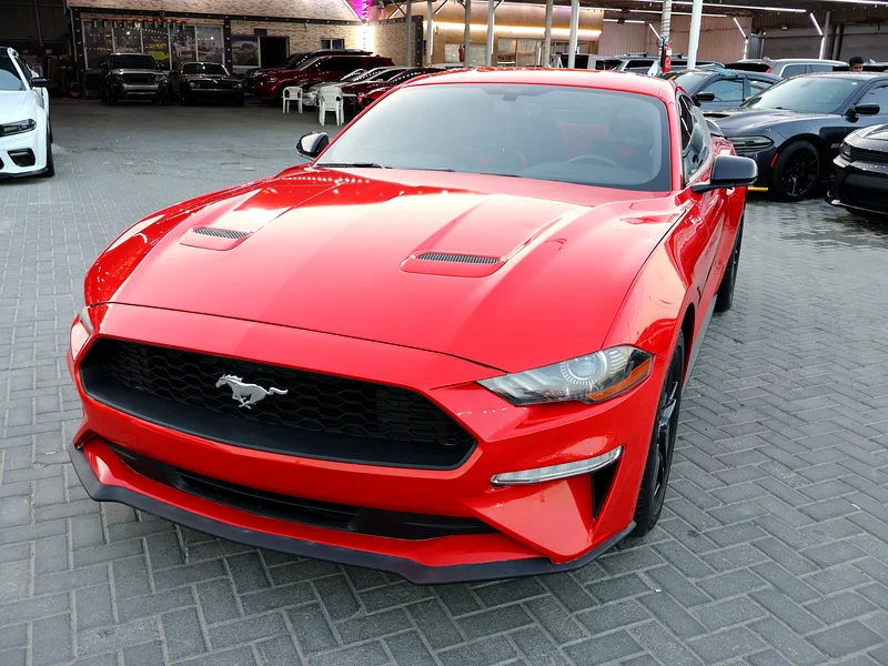 FORD MUSTANG ECO-BOOST V4  202063169445594882113
