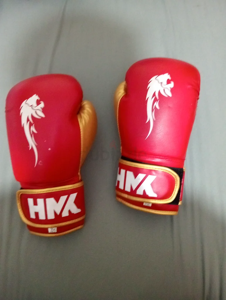 Boxing gloves632421699173131111