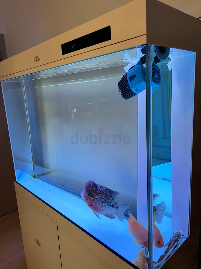 Well maintained Kakie Strong Exotic Aquarium