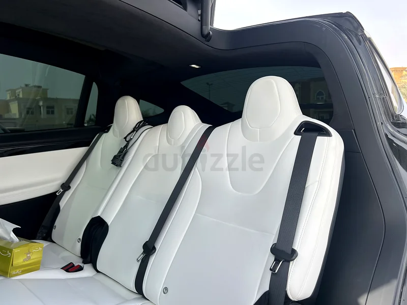 تيسلا موديل X طويل المدى. المالك الأول63221825127041112