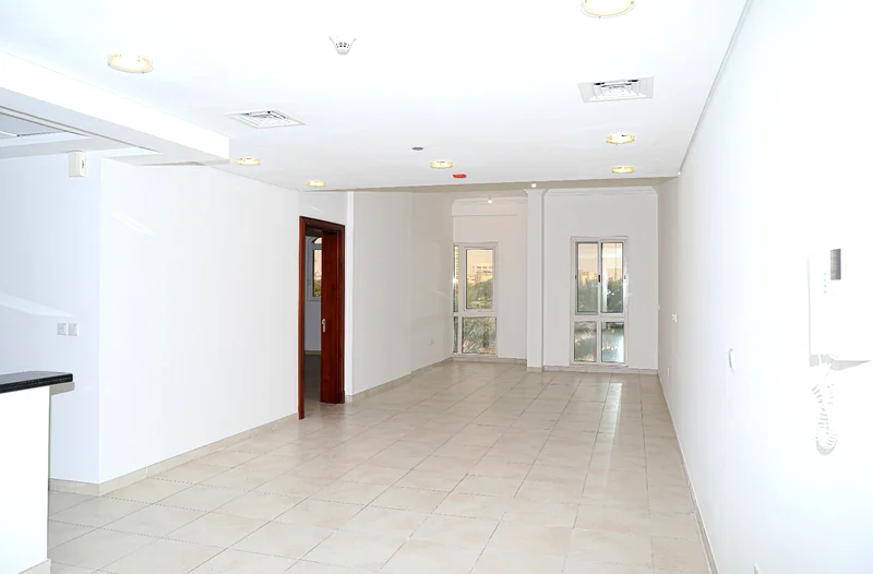 فارغ، جديد بالكامل، خيارات متعددة، أفضل جودة63219799658369113
