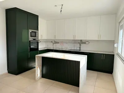 Stunning Modern Kitchen with Elegant Green Cabinets