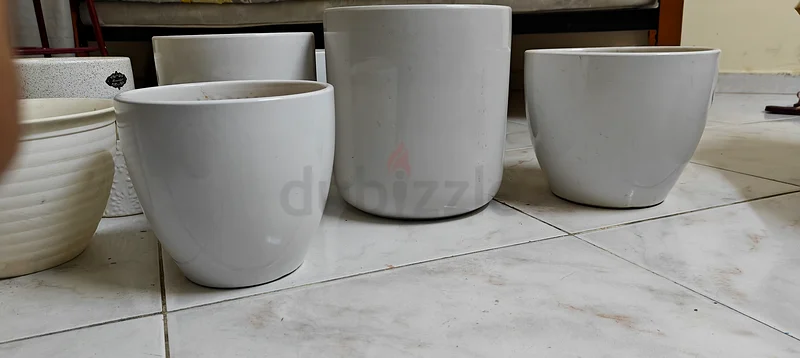 Premium plant pots available63220828073857111