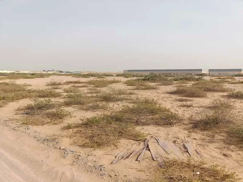 للبيع، أرض في منطقة السجا الحنو القديم، البلوك 2، المساحة 52 ألف قدم مربع63195062583170114