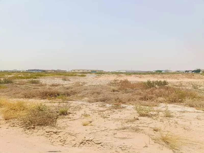 للبيع، أرض في سجع القديمة، المساحة مليونان و500 قدم مربع، مملوكة للمواطنين الإماراتيين ومواطني دول مجلس التعاون الخليجي فقط.63195062549122111