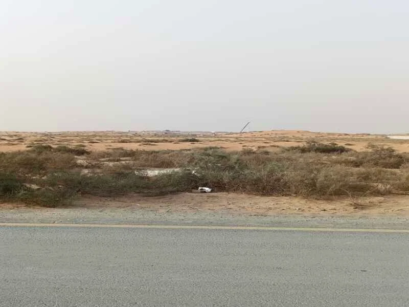 للبيع، أرض في منطقة الساجعة، مساحتها مليون قدم مربع، ملكية كاملة63195062556290112