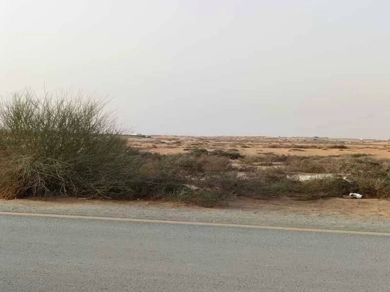للبيع، أرض في منطقة الساجعة، مساحتها مليون قدم مربع، ملكية كاملة63195062556290113