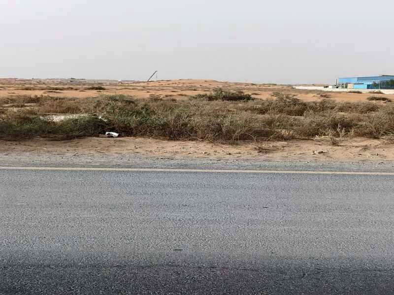 للبيع، أرض في منطقة الساجعة، مساحتها مليون قدم مربع، ملكية كاملة63195062556290111