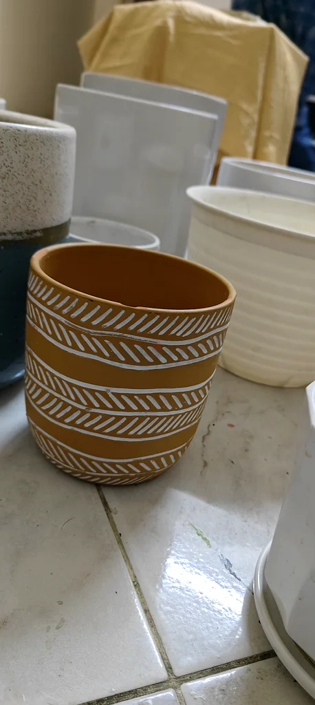 Premium plant pots available63220828073857112