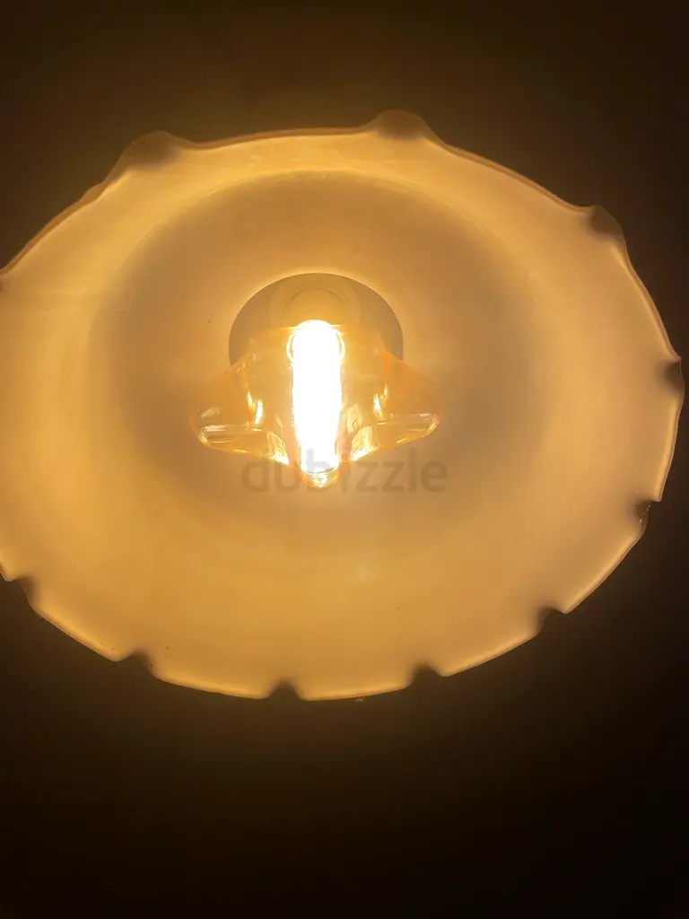 Decorative light