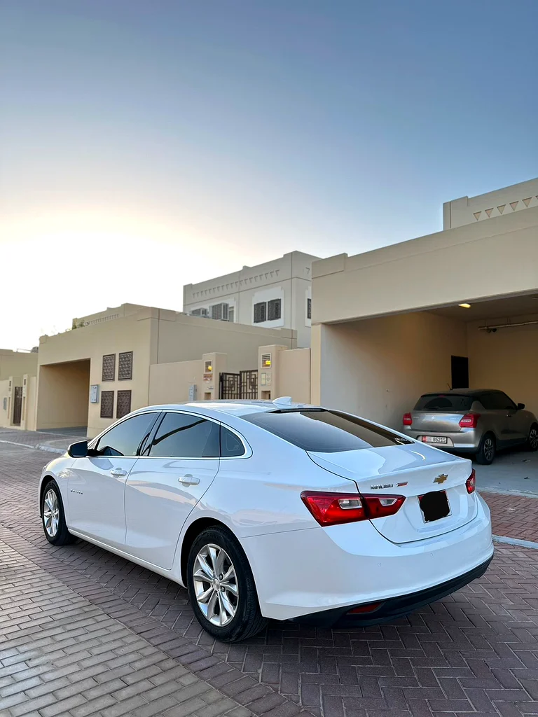Gulf Malibu 202163153703888003113