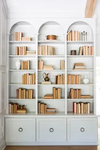 Classic book case with shelves