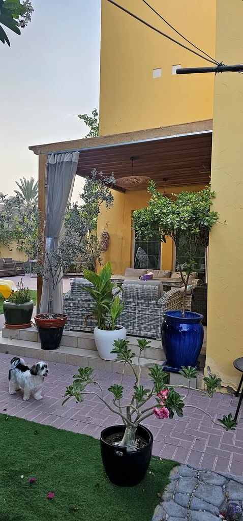 بيروجولا63222346919811111